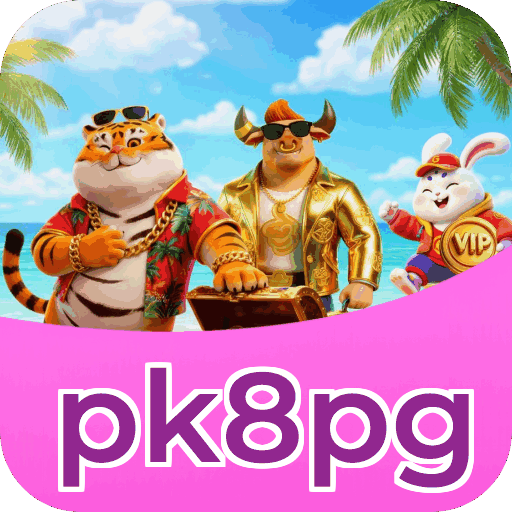 Métodos de pagamento aceitos na pk8pg